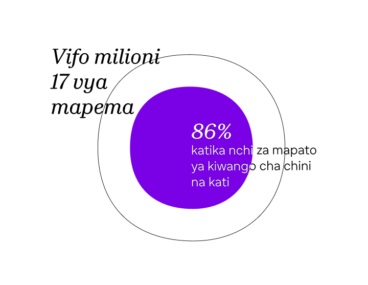 Grafiki ya takwimu inayoonyesha vifo milioni 17 vya mapema